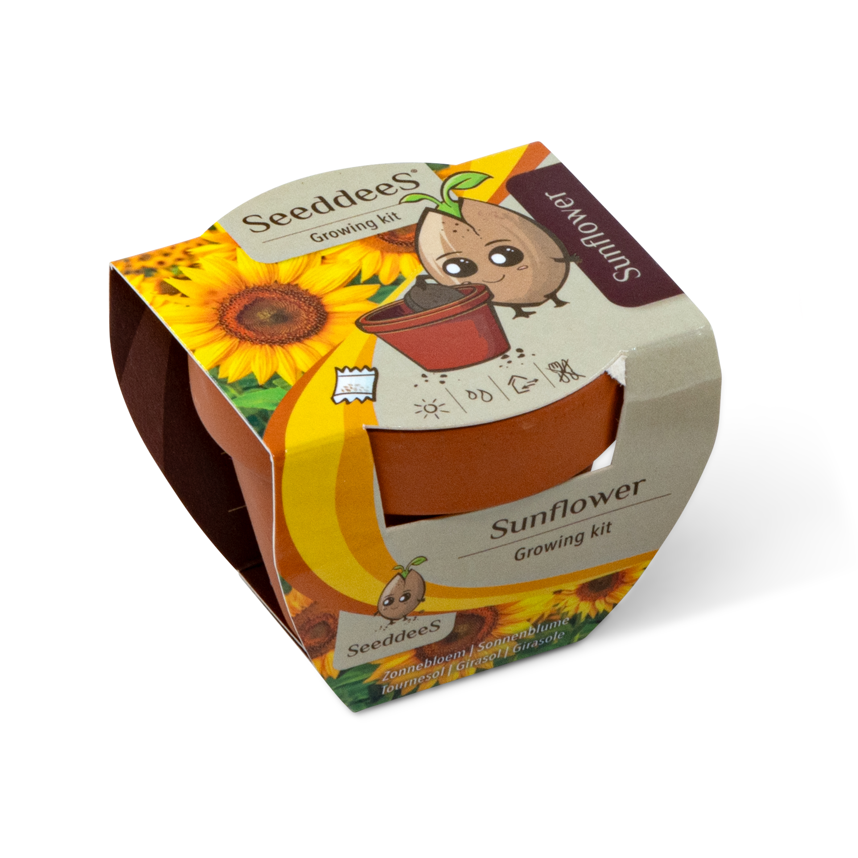 SeeddeeS kweekset terracotta pot - Zonnebloem